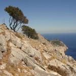 L'isola di Tavolara